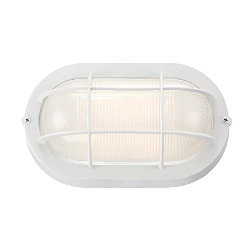 Traditional One-Light Outdoor Wall Fixture, White Finish, White Glass Lens