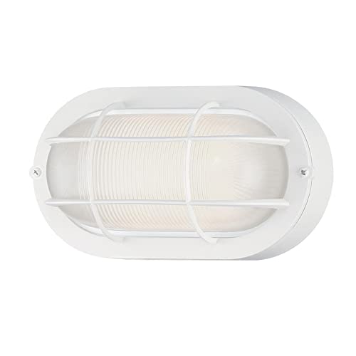 Traditional One-Light Outdoor Wall Fixture, White Finish, White Glass Lens