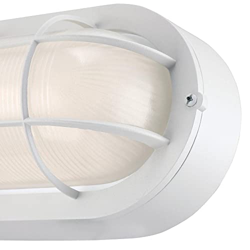 Traditional One-Light Outdoor Wall Fixture, White Finish, White Glass Lens