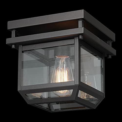 1-Light Outdoor/Indoor Semi-Flush Mount Ceiling Light, Oil Rubbed Bronze, Clear Seeded Glass Shade, Bulb Not Included