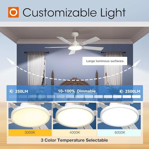 Ceiling Fans with Lights, 52 inch Black Ceiling Fan with Light and Remote Control, Reversible, 3CCT, Dimmable, Noiseless, Ceiling Fan for Bedroom, Farmhouse, Living Room, Indoor/Outdoor Use