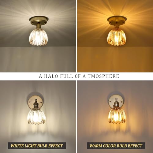 Semi Flush Mount Ceiling Light, Gold Hallway Vintage Lights Fixture Ceiling with Amber Peony Glass, Bulb Included, 4.72" Base Modern Ceiling Light Fixtures for Kitchen Bedroom