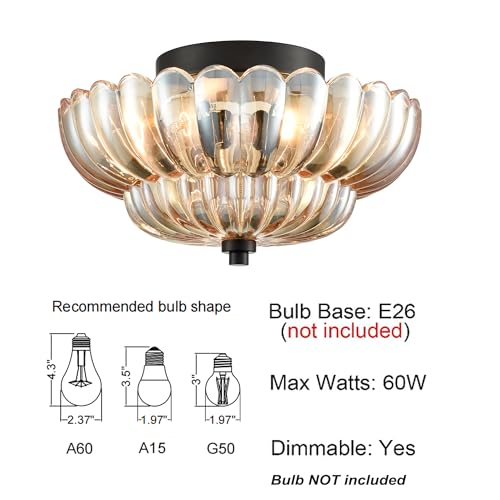 Modern Black Ceiling Light Traditional Semi Flush Mount Ceiling Light with Scalloped Clear Glass for Living Room Hallway Close to Ceiling Light Fixture