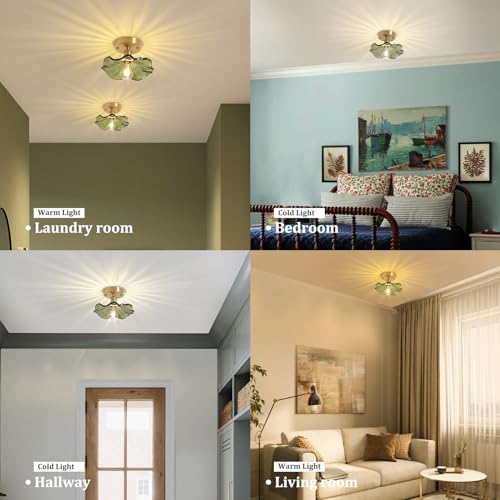 Semi Flush Mount Ceiling Light, Gold Hallway Vintage Lights Fixture Ceiling with Amber Peony Glass, Bulb Included, 4.72" Base Modern Ceiling Light Fixtures for Kitchen Bedroom