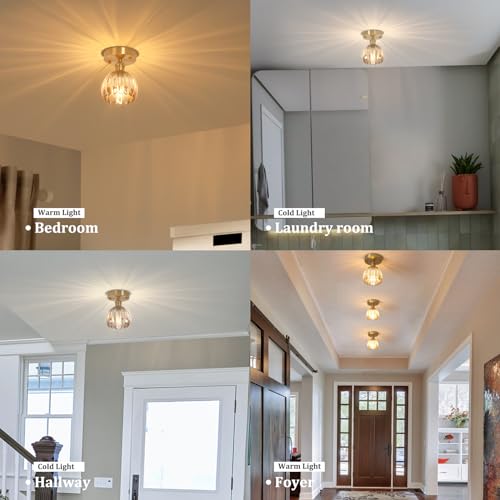 Semi Flush Mount Ceiling Light, Gold Hallway Vintage Lights Fixture Ceiling with Amber Peony Glass, Bulb Included, 4.72" Base Modern Ceiling Light Fixtures for Kitchen Bedroom