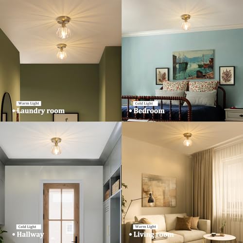 Semi Flush Mount Ceiling Light, Gold Hallway Vintage Lights Fixture Ceiling with Amber Peony Glass, Bulb Included, 4.72" Base Modern Ceiling Light Fixtures for Kitchen Bedroom