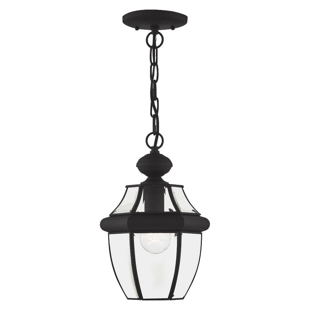 1-Light Outdoor Hanging Lantern, Polished Brass