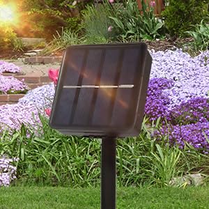 Solar Outdoor Lights,Set of 6 Solar Garden Lights with 6 Red Rose Flower,Waterproof Rose Stake Lights for Garden Yard Pathway Outside Decor