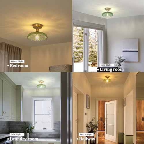 Semi Flush Mount Ceiling Light, Gold Hallway Vintage Lights Fixture Ceiling with Amber Peony Glass, Bulb Included, 4.72" Base Modern Ceiling Light Fixtures for Kitchen Bedroom