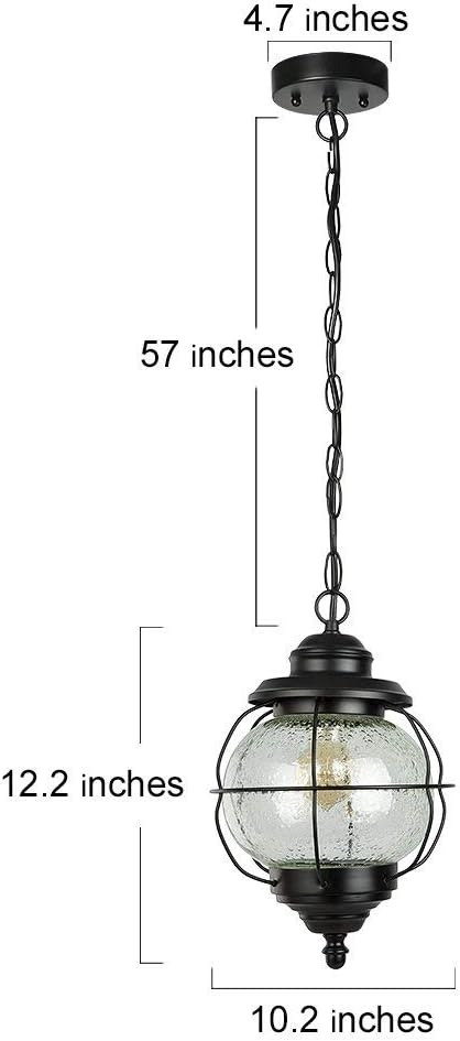 Outdoor Pendant Lights, Farmhouse Ceiling Hanging Porch Fixture in Black Metal with Clear Bubbled Glass Globe in Iron Cage Frame, Exterior Lantern for Gazebo, Entryway, Patio