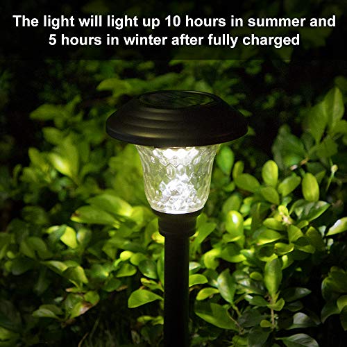 8 Pack Solar Pathway Lights Color Changing + Bright White Outdoor Garden Stake Glass LED Stainless Steel Waterproof Landscape Path Lighting for Yard Walkway Driveway Outside Black