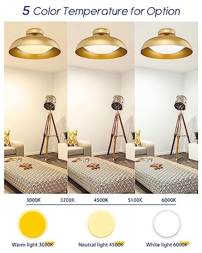 Gold Ceiling Light, 12 Inch LED Semi Flush Mount Ceiling Light Fixture, 12W/700Lm Ceiling Lights for Kitchen, Bathroom, Hallway, 3000K/4000K/6000K Adjustable, KDCL01-GD