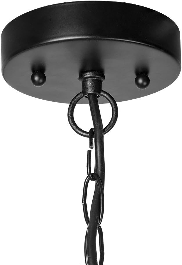 Outdoor Pendant Lights, Farmhouse Ceiling Hanging Porch Fixture in Black Metal with Clear Bubbled Glass Globe in Iron Cage Frame, Exterior Lantern for Gazebo, Entryway, Patio