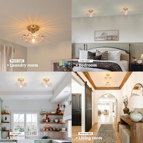 Semi Flush Mount Ceiling Light, Gold Hallway Vintage Lights Fixture Ceiling with Amber Peony Glass, Bulb Included, 4.72" Base Modern Ceiling Light Fixtures for Kitchen Bedroom