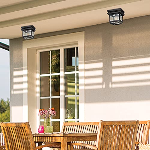 1-Light Outdoor/Indoor Semi-Flush Mount Ceiling Light, Oil Rubbed Bronze, Clear Seeded Glass Shade, Bulb Not Included