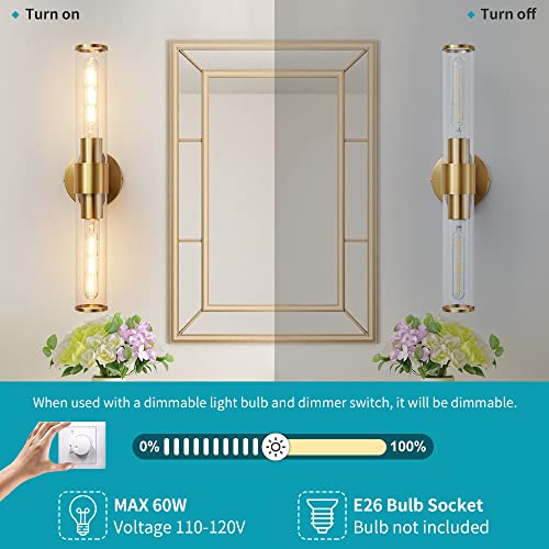 Gold Wall Sconce, Bathroom Light Fixtures in Clear Glass Indoor Wall Sconces, Modern Sconce Wall Lighting Up and Down Vanity Lights Fixtures for Bathroom,Living Room,Hallway, Kitchen