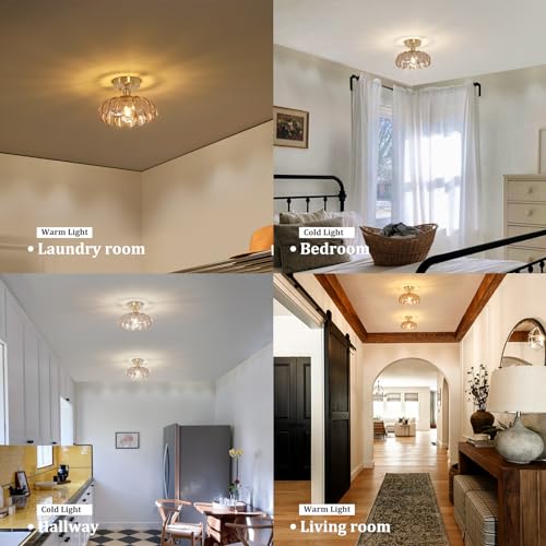 Semi Flush Mount Ceiling Light, Gold Hallway Vintage Lights Fixture Ceiling with Amber Peony Glass, Bulb Included, 4.72" Base Modern Ceiling Light Fixtures for Kitchen Bedroom