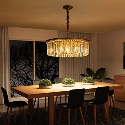 23" 8-Light Modern Crystal Chandelier Light Fixtures 2 Rings Gold Luxury Chandeliers for Dining Room Round Hanging Pendant Lighting for Living Room Kitchen Entryway Bedroom