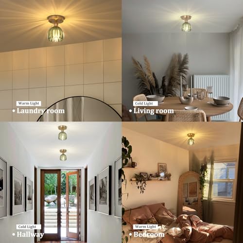 Semi Flush Mount Ceiling Light, Gold Hallway Vintage Lights Fixture Ceiling with Amber Peony Glass, Bulb Included, 4.72" Base Modern Ceiling Light Fixtures for Kitchen Bedroom