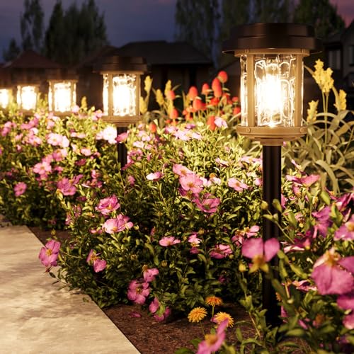 Solar Lights Outdoor, 6 Pack Solar Pathway Lights Outdoor, 15 LM LED Outdoor Solar Lights, IP 65 Waterproof Glass Solar Powered Lights for Garden Yard Landscape Driveway Walkway (Warm White)