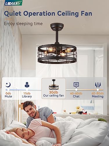 16.5 inch Black Caged Ceiling Fan with Light, Bladeless Industrial Ceiling Fan with Remote, Farmhouse Fan Lights Ceiling Fixtures for Kitchen, Bedroom, Outdoor（6 Speed, Timing）-Black