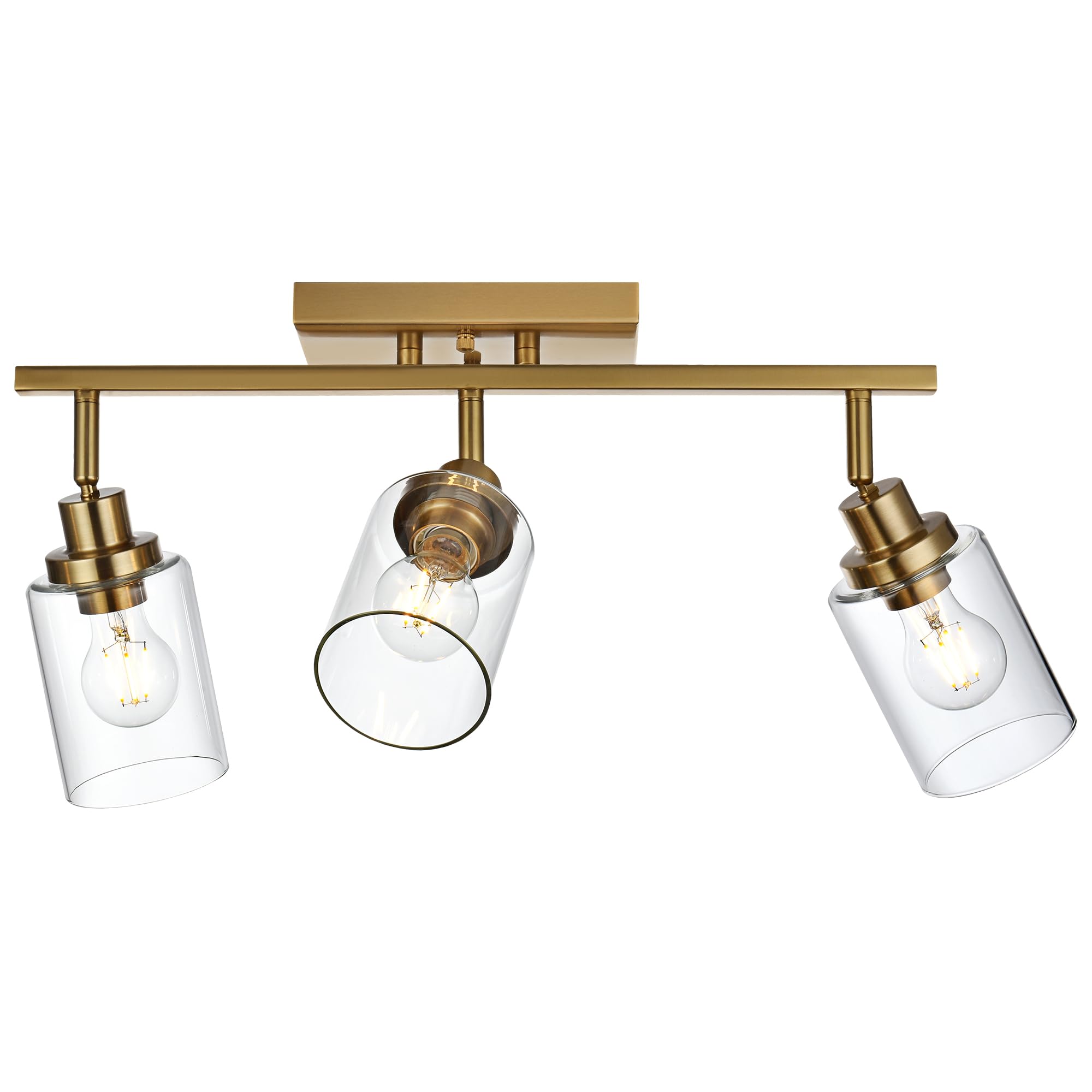 2-Light Adjustable Track Lighting Kit Brass Kitchen Track Lighting Fixtures Ceiling Spotlight with Clear Glass Shade for Hallway Foyer Bath Storage