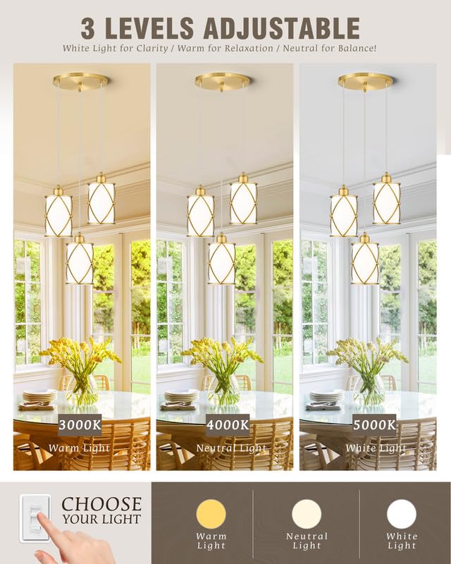 Brushed Gold Pendant Light Fixtures, 3-Light Modern Dining Room Cluster Pendant Light with Milky Glass, Mid Century Cage Hanging Pendant Lighting for Kitchen, Adjustable, CH9176BGW3