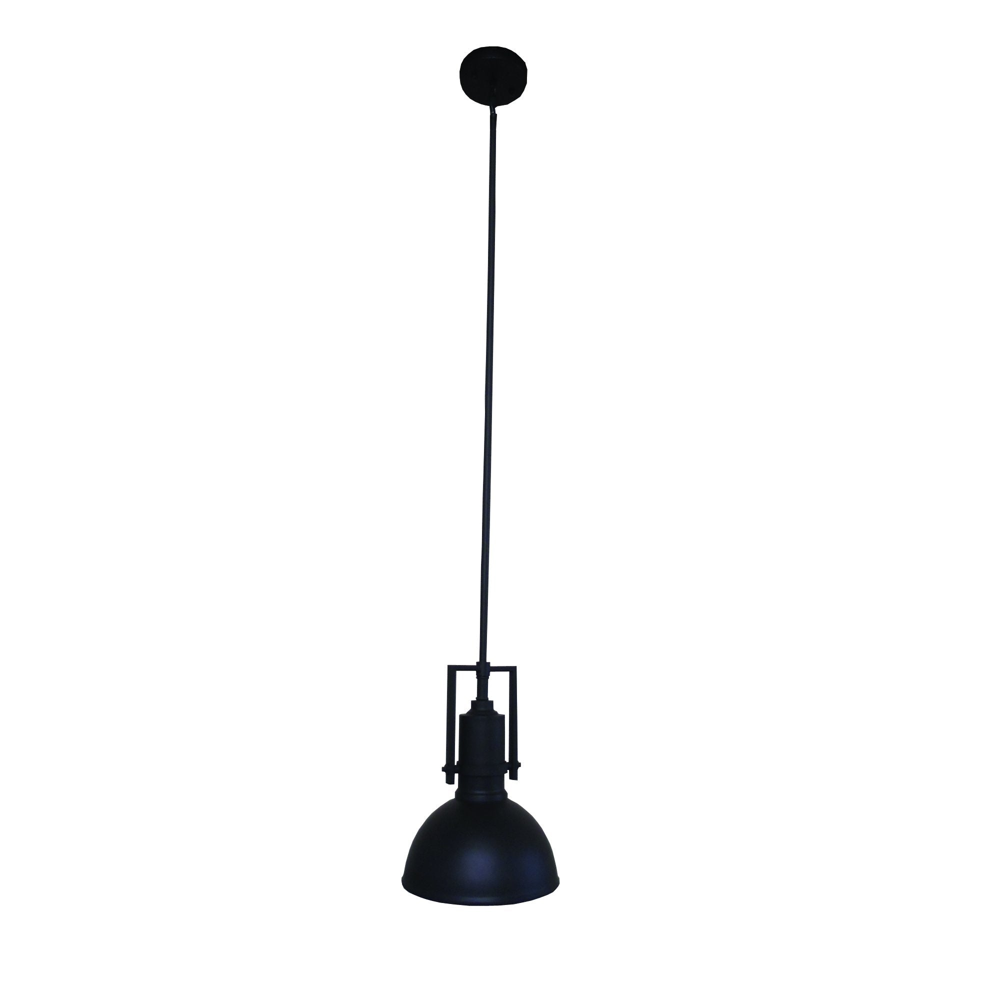 1-Light Pendant, Ebony Bronze Finish