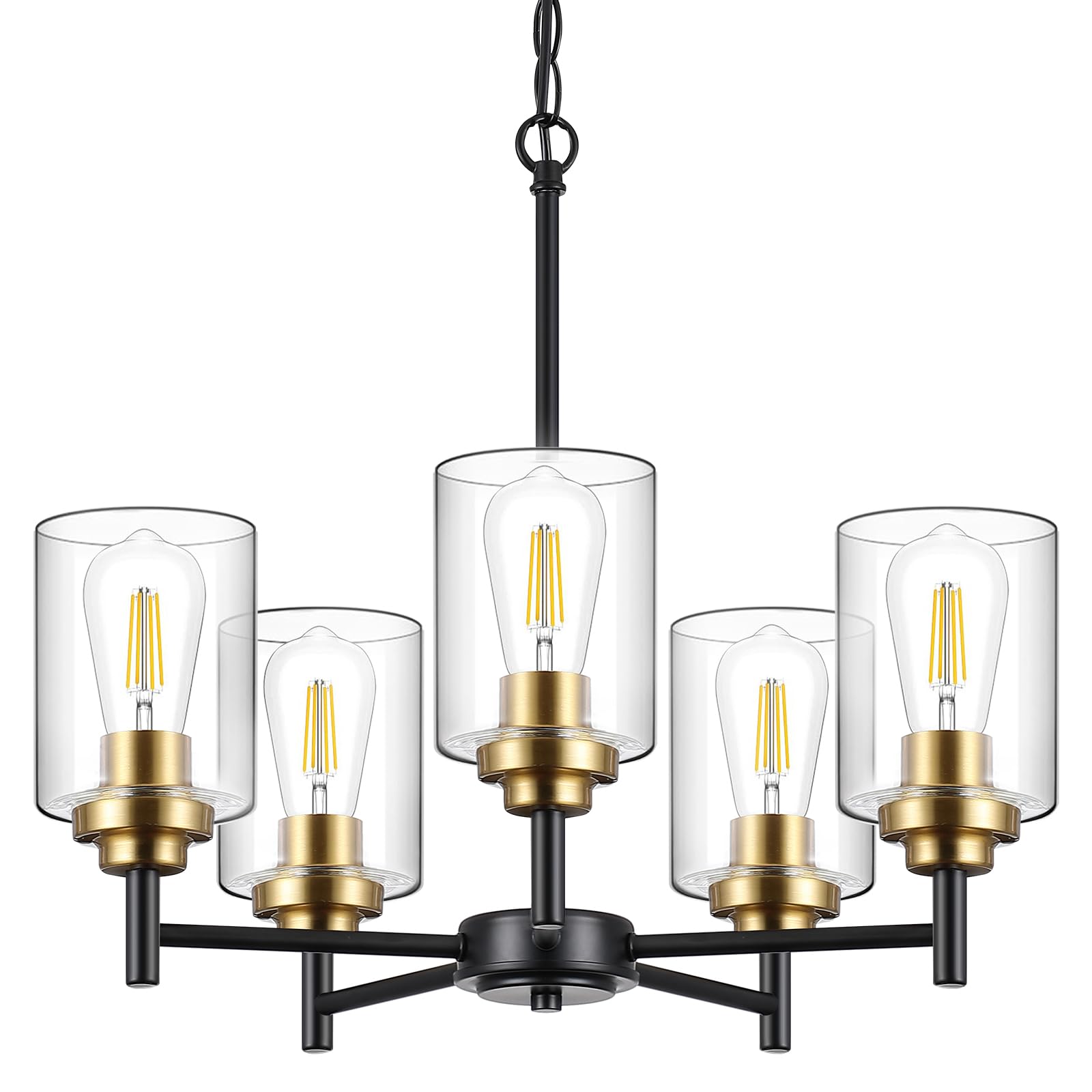 5 Lights Glass Chandelier,Modern Kitchen Island Lighting Black and Gold Metal Dining Room Light Fixture for Living Room Foyer,E26