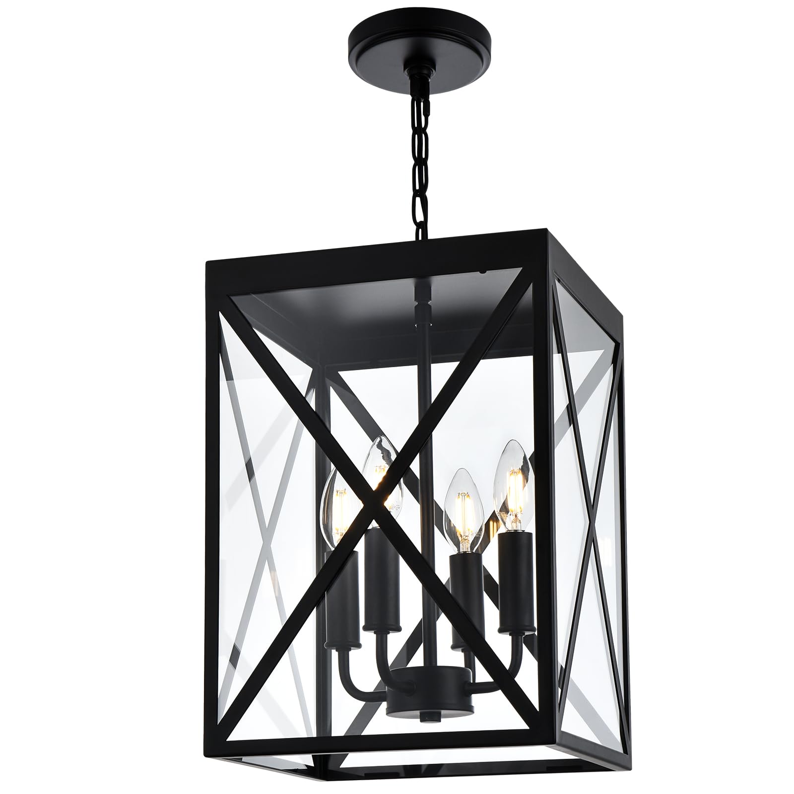 Black Outdoor Pendant Light 4-Light Outside Pendant Hanging Light Fixture Ceiling Mount with Clear Glass Industrial Hanging Cage Chandelier for Porch,Entryway,Doorway,Farmhouse