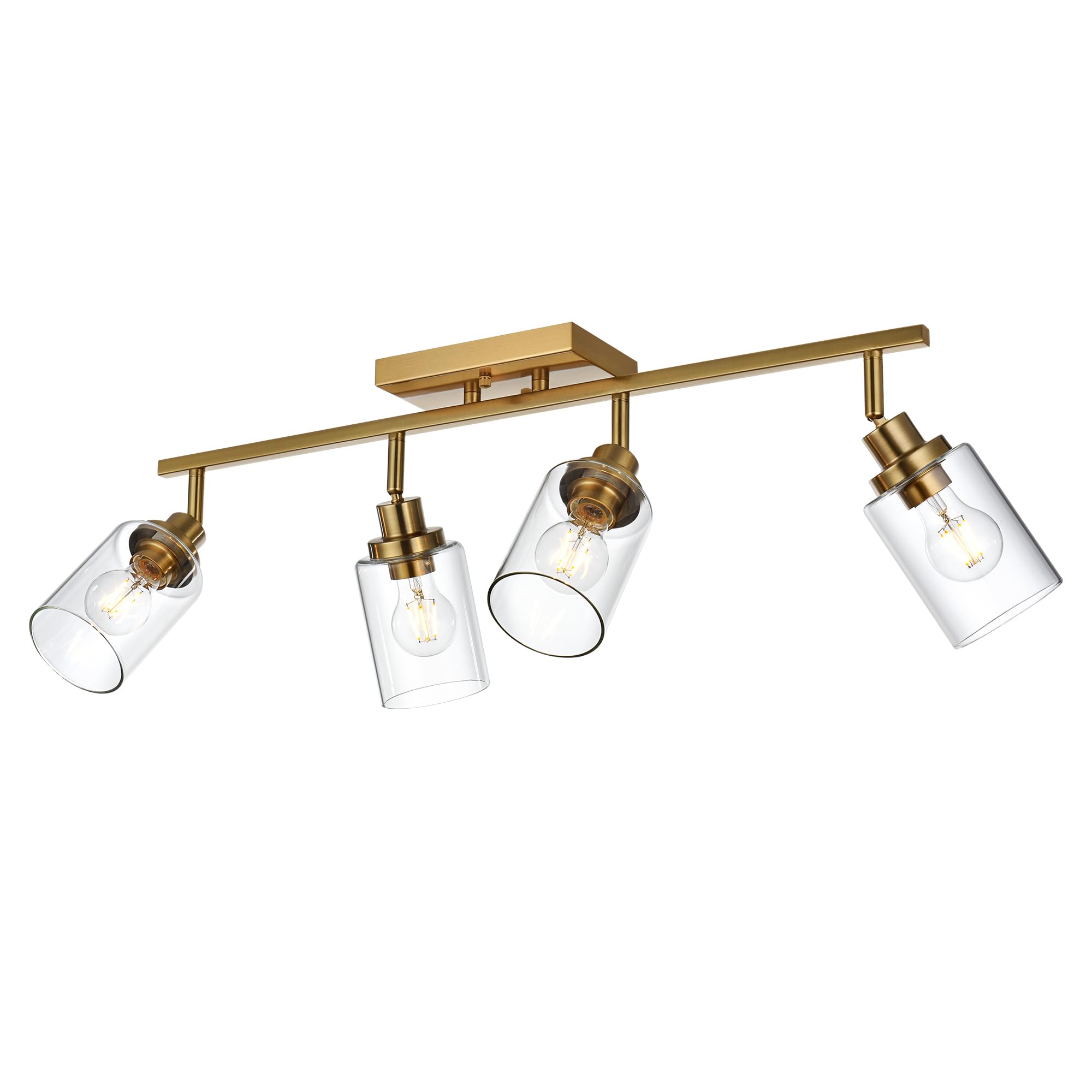 2-Light Adjustable Track Lighting Kit Brass Kitchen Track Lighting Fixtures Ceiling Spotlight with Clear Glass Shade for Hallway Foyer Bath Storage