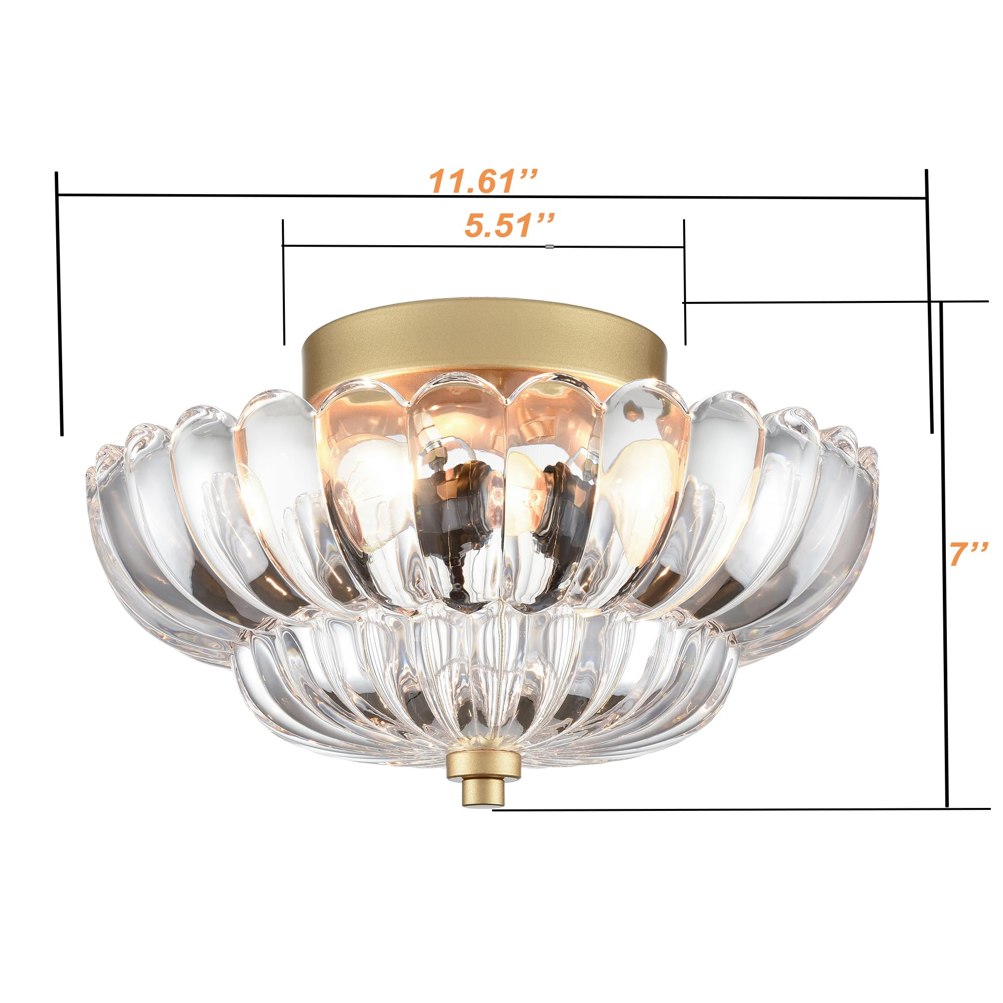 Modern Black Ceiling Light Traditional Semi Flush Mount Ceiling Light with Scalloped Clear Glass for Living Room Hallway Close to Ceiling Light Fixture