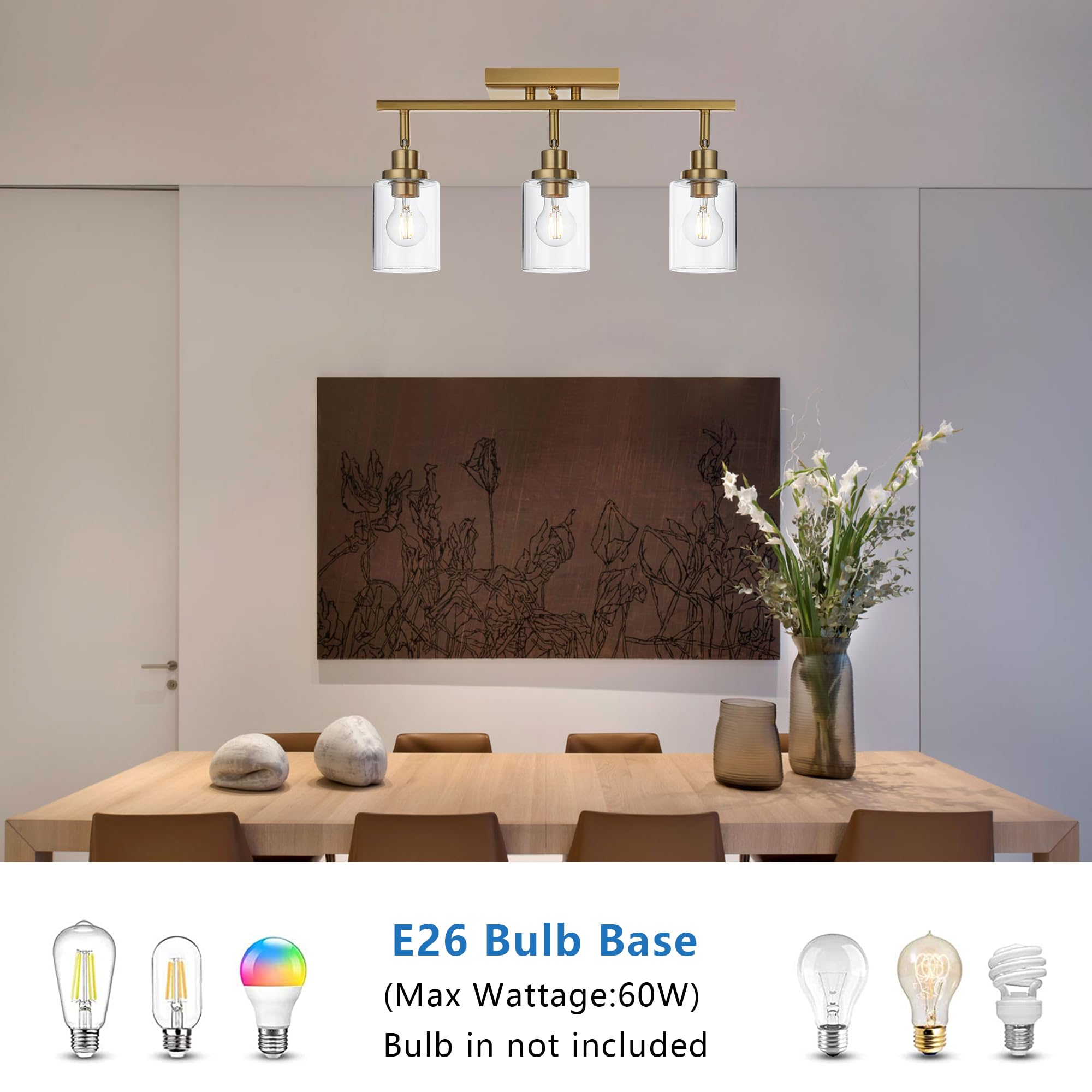 2-Light Adjustable Track Lighting Kit Brass Kitchen Track Lighting Fixtures Ceiling Spotlight with Clear Glass Shade for Hallway Foyer Bath Storage