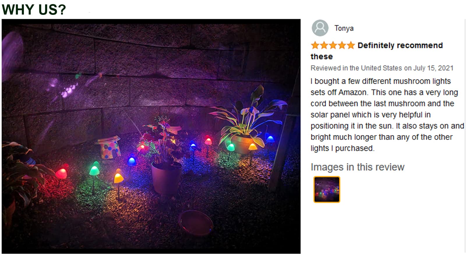 Mushroom Solar Lights-Set of 15pcs 29.5ft Fairy Solar String Light,Warm White 8 Modes Outside Solar Pathway Lights,Outdoor Decoration for Garden,Backyard,Lawn,Party,Christmas