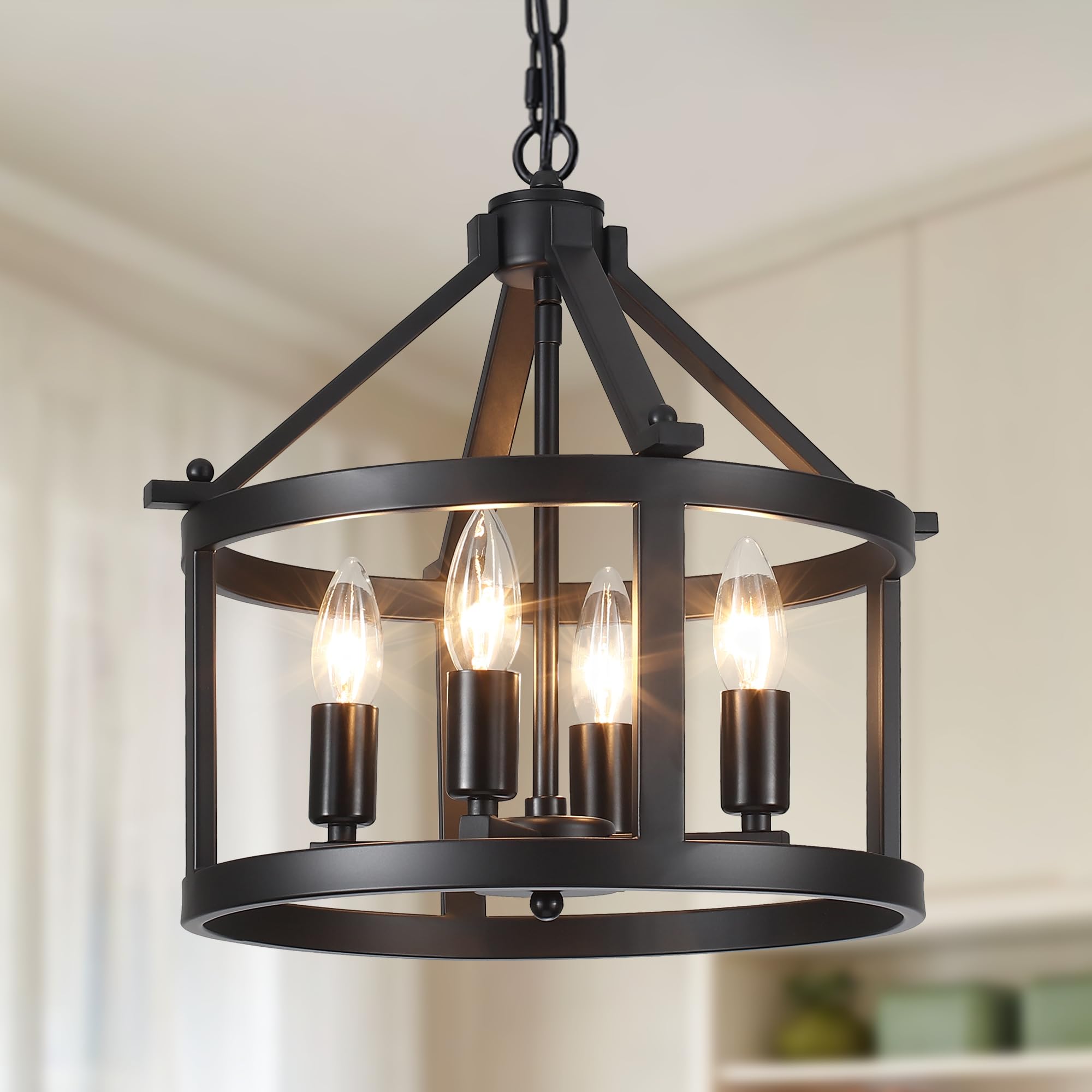 Farmhouse Light Fixtures Round Cage Chandeliers 4 Lights E12 Base Vintage Black Chandelier Pendant Light for Dining Room Entryway Hallway Foyer Kitchen