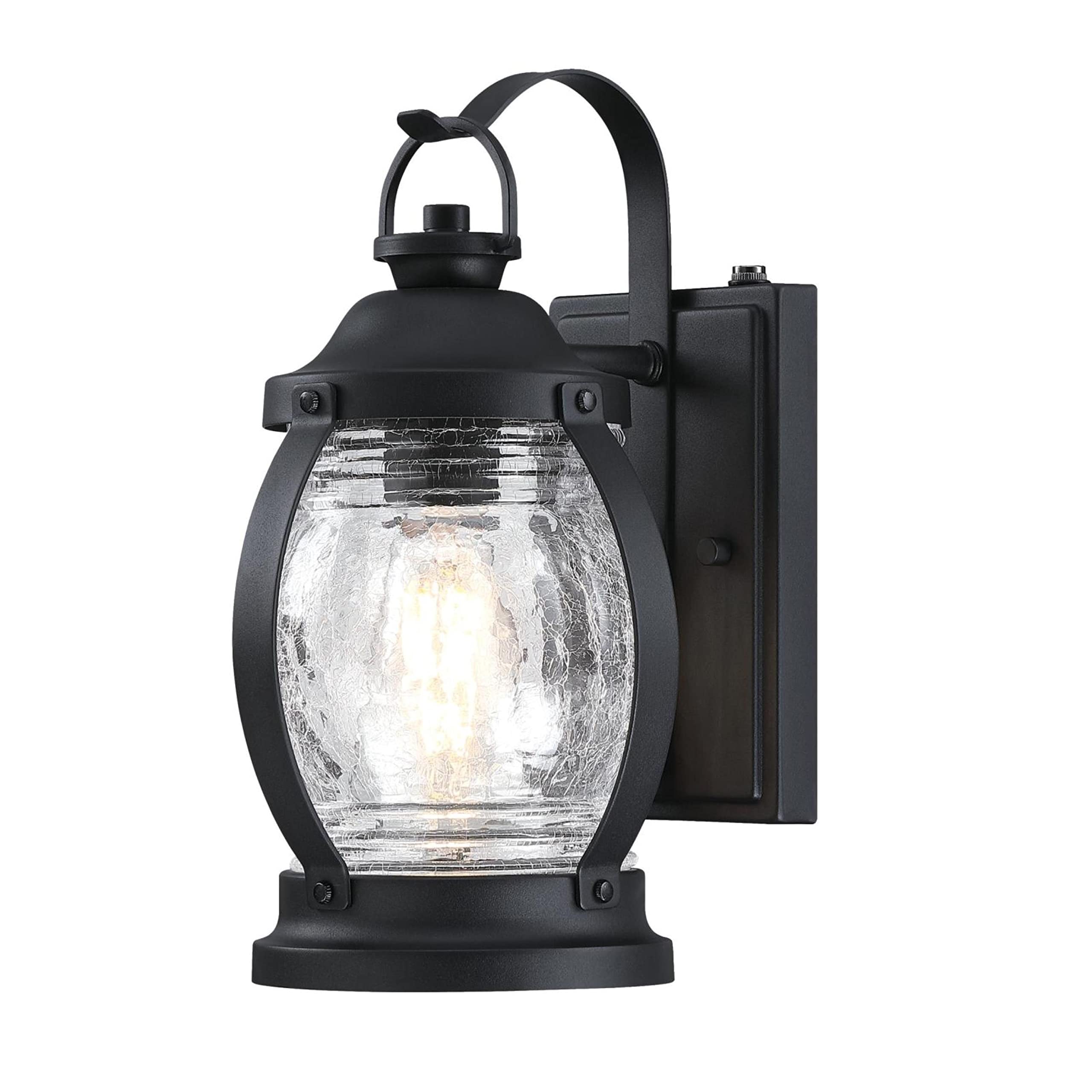 Canyon One-Light Outdoor Wall Fixture, Textured Black and Barnwood Finish with Clear Glass