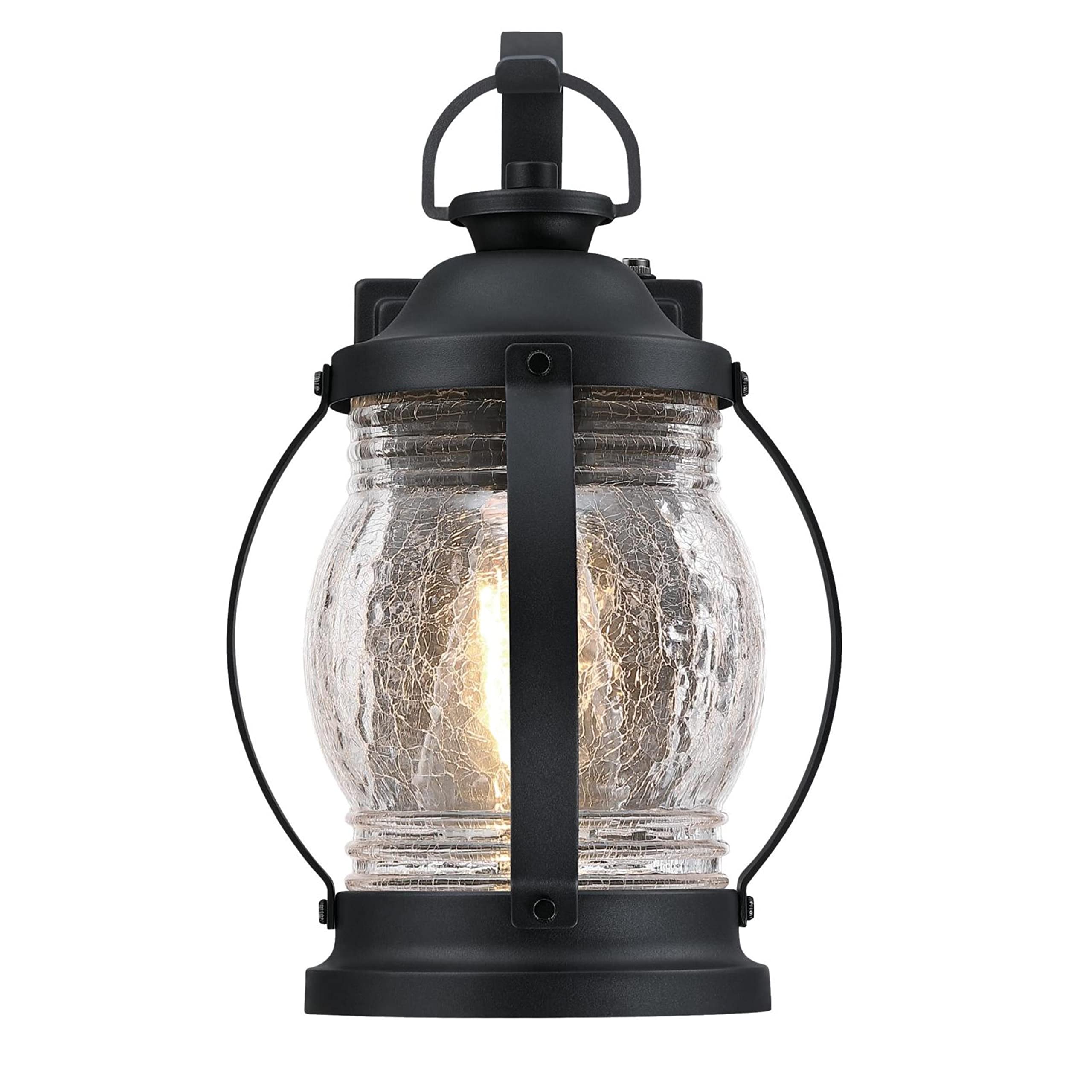 Canyon One-Light Outdoor Wall Fixture, Textured Black and Barnwood Finish with Clear Glass