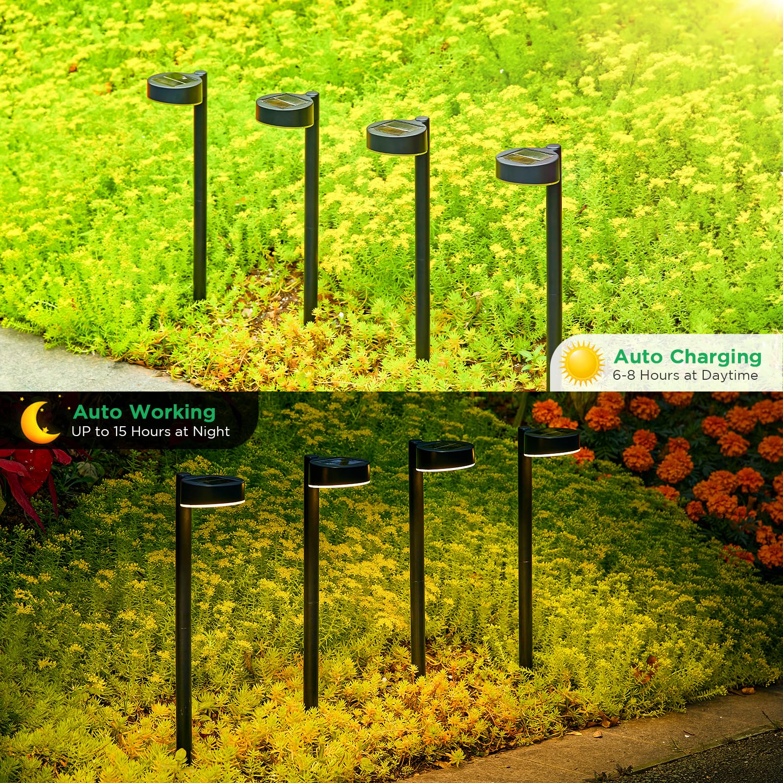 8 Pack Solar Pathway Lights Outdoor, Solar Lights Outdoor Waterproof with Brighter 12 LED, Up to 12 Hrs Outdoor Solar Powered Garden Lights for Yard, Modern Pathway Walkway Path Driveway Lights