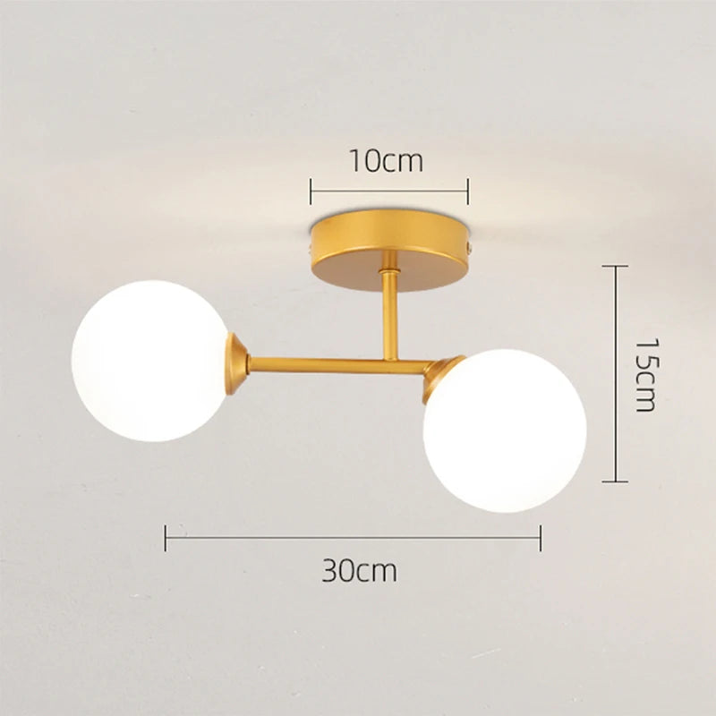 Led Ceiling Lamp Interior Lighting for Home Decor Bedroom Living Room Dining Table Cloakroom Corridor Nordic Ceiling Light