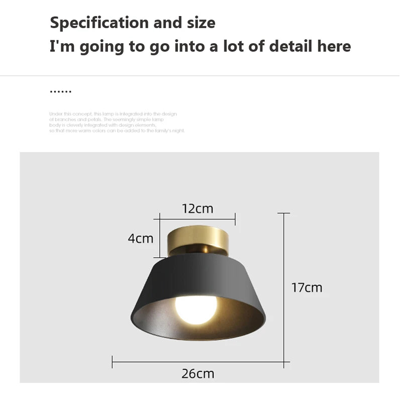 Nordic Ceiling Lights Simple LED Light Aisle Balcony Entrance Staircase Ceiling Lamp lampara techo Kitchen Home Fixtures